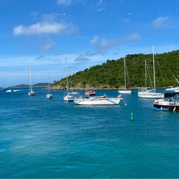 Meet your Posher, Lisa - Picture 1 of 1